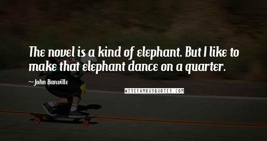 John Banville Quotes: The novel is a kind of elephant. But I like to make that elephant dance on a quarter.