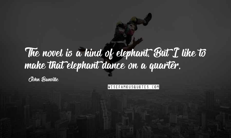 John Banville Quotes: The novel is a kind of elephant. But I like to make that elephant dance on a quarter.