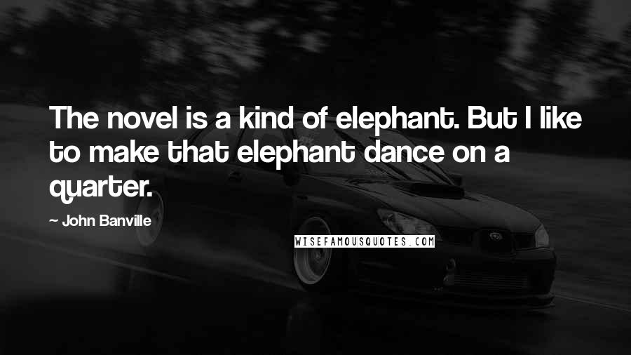 John Banville Quotes: The novel is a kind of elephant. But I like to make that elephant dance on a quarter.