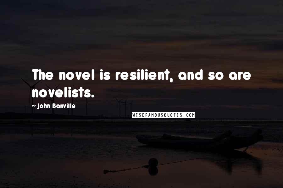 John Banville Quotes: The novel is resilient, and so are novelists.