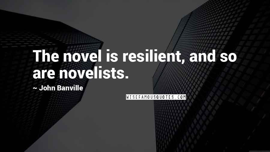 John Banville Quotes: The novel is resilient, and so are novelists.