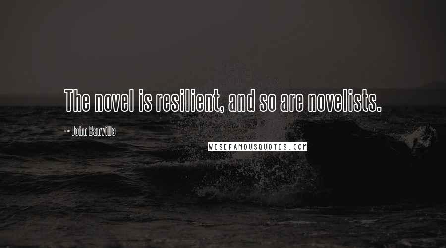 John Banville Quotes: The novel is resilient, and so are novelists.