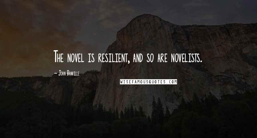 John Banville Quotes: The novel is resilient, and so are novelists.