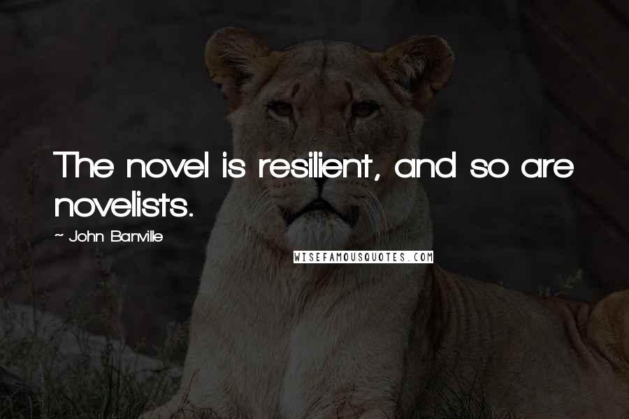 John Banville Quotes: The novel is resilient, and so are novelists.