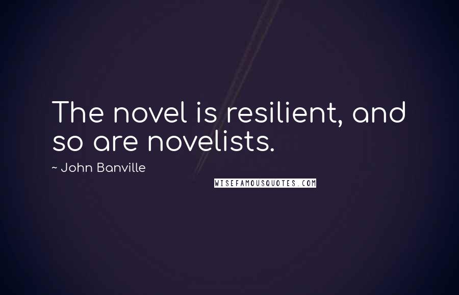 John Banville Quotes: The novel is resilient, and so are novelists.