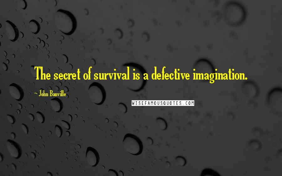 John Banville Quotes: The secret of survival is a defective imagination.