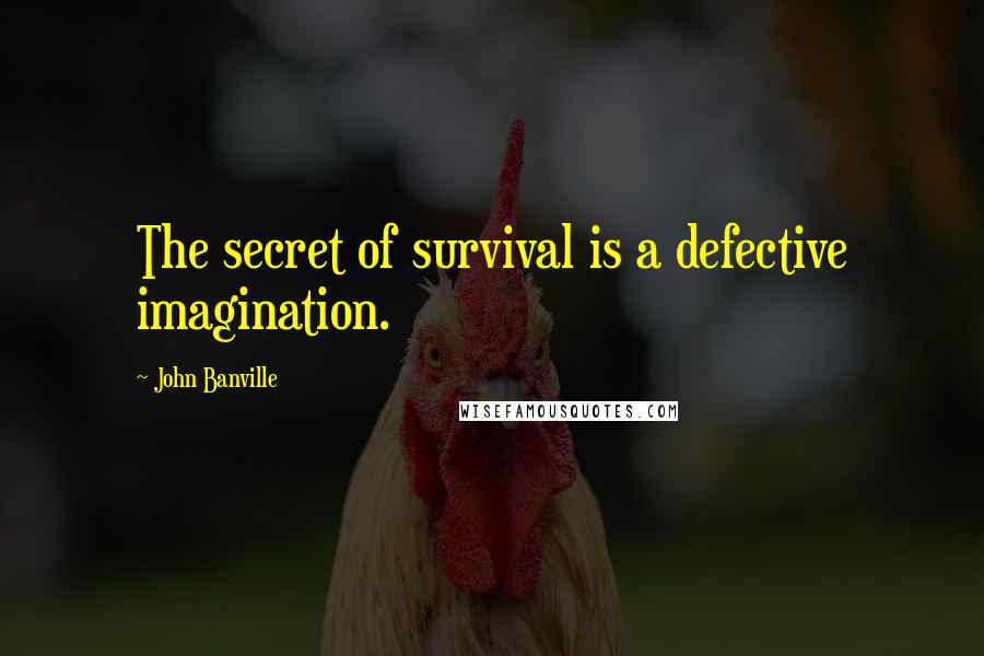 John Banville Quotes: The secret of survival is a defective imagination.