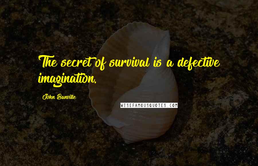 John Banville Quotes: The secret of survival is a defective imagination.