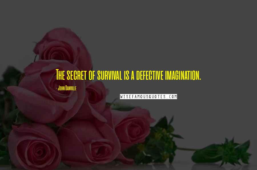 John Banville Quotes: The secret of survival is a defective imagination.