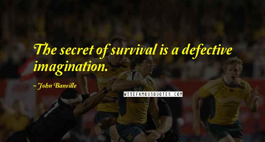 John Banville Quotes: The secret of survival is a defective imagination.