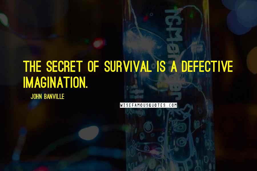 John Banville Quotes: The secret of survival is a defective imagination.