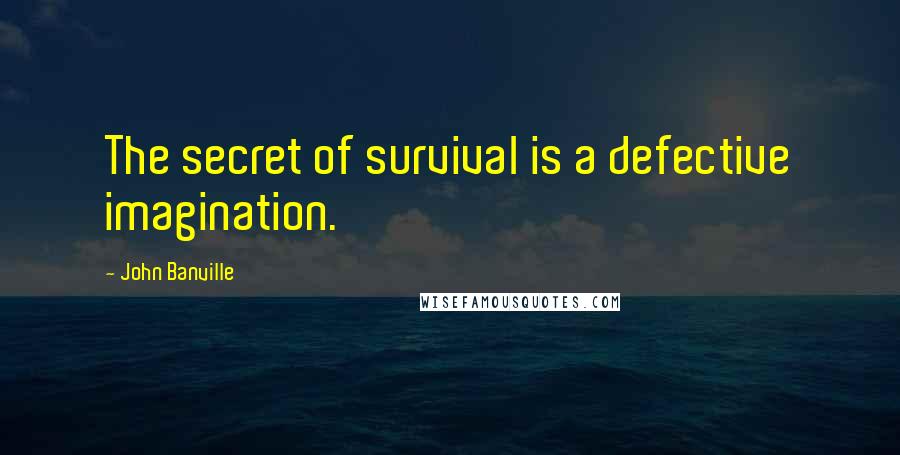 John Banville Quotes: The secret of survival is a defective imagination.