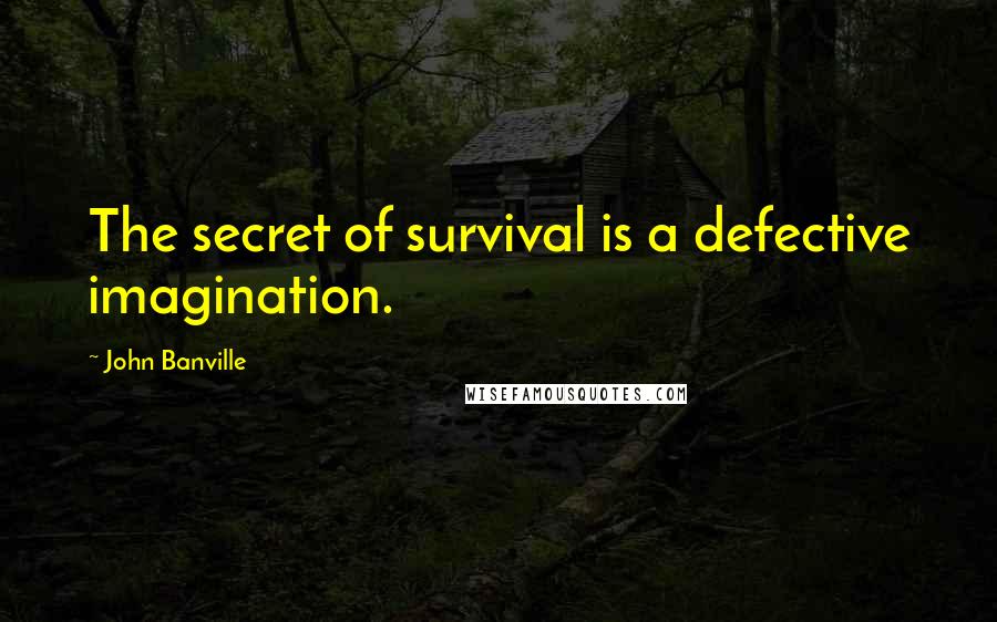 John Banville Quotes: The secret of survival is a defective imagination.