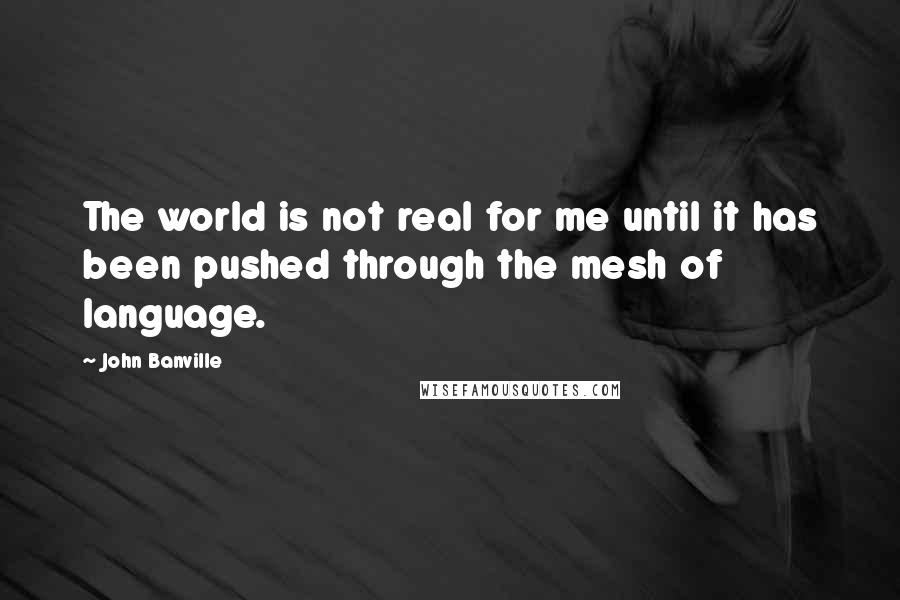 John Banville Quotes: The world is not real for me until it has been pushed through the mesh of language.