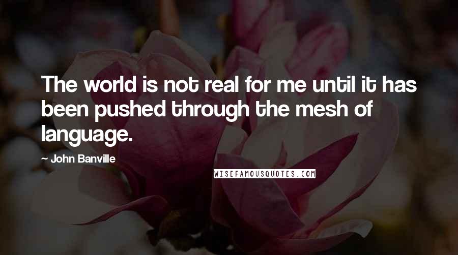 John Banville Quotes: The world is not real for me until it has been pushed through the mesh of language.