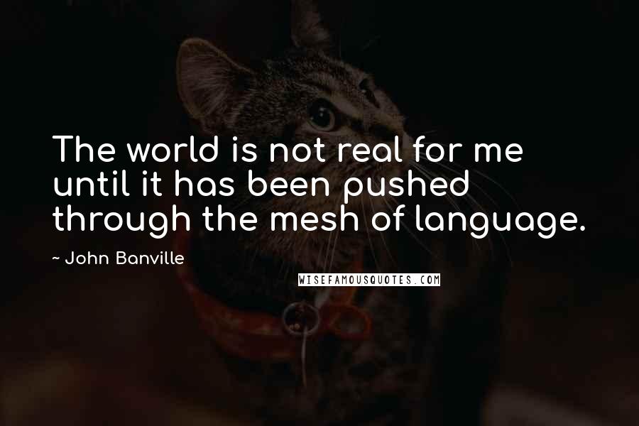 John Banville Quotes: The world is not real for me until it has been pushed through the mesh of language.