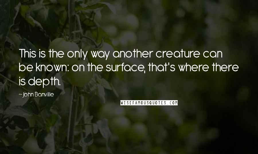 John Banville Quotes: This is the only way another creature can be known: on the surface, that's where there is depth.
