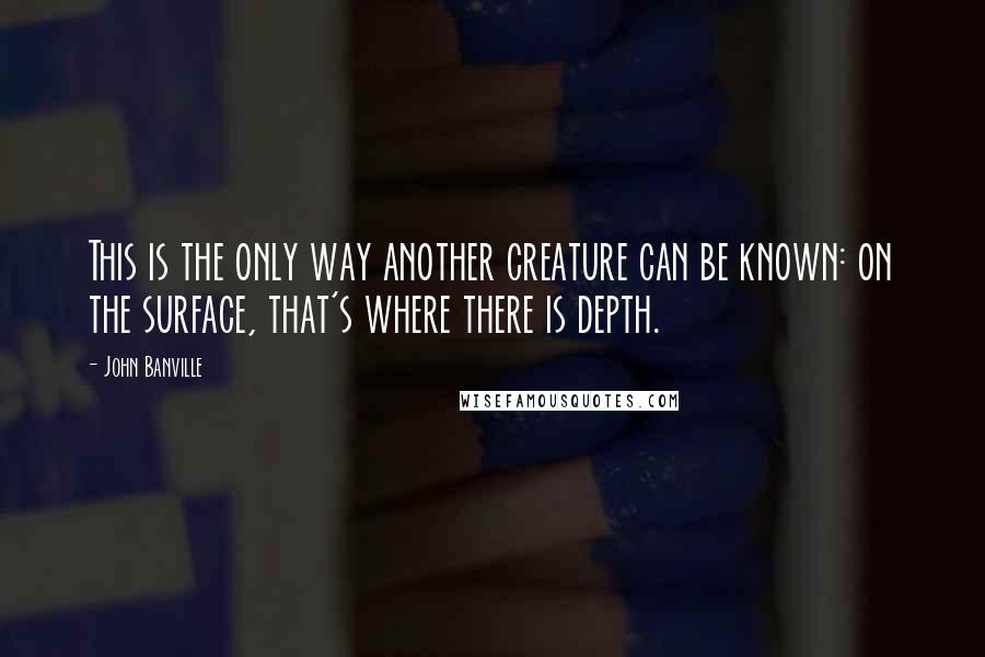 John Banville Quotes: This is the only way another creature can be known: on the surface, that's where there is depth.