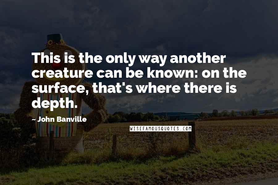 John Banville Quotes: This is the only way another creature can be known: on the surface, that's where there is depth.