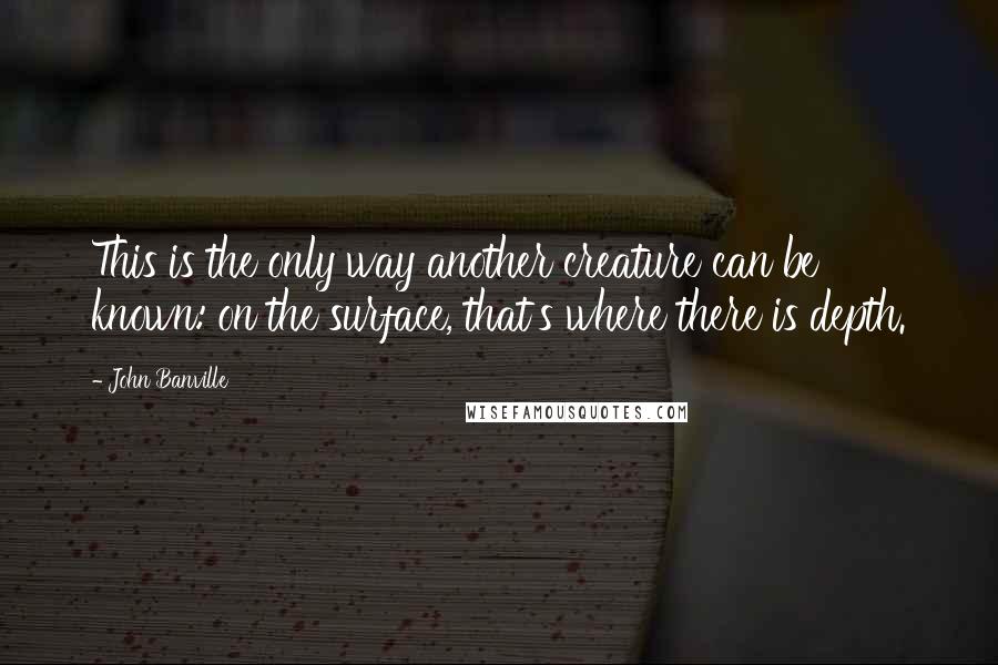 John Banville Quotes: This is the only way another creature can be known: on the surface, that's where there is depth.