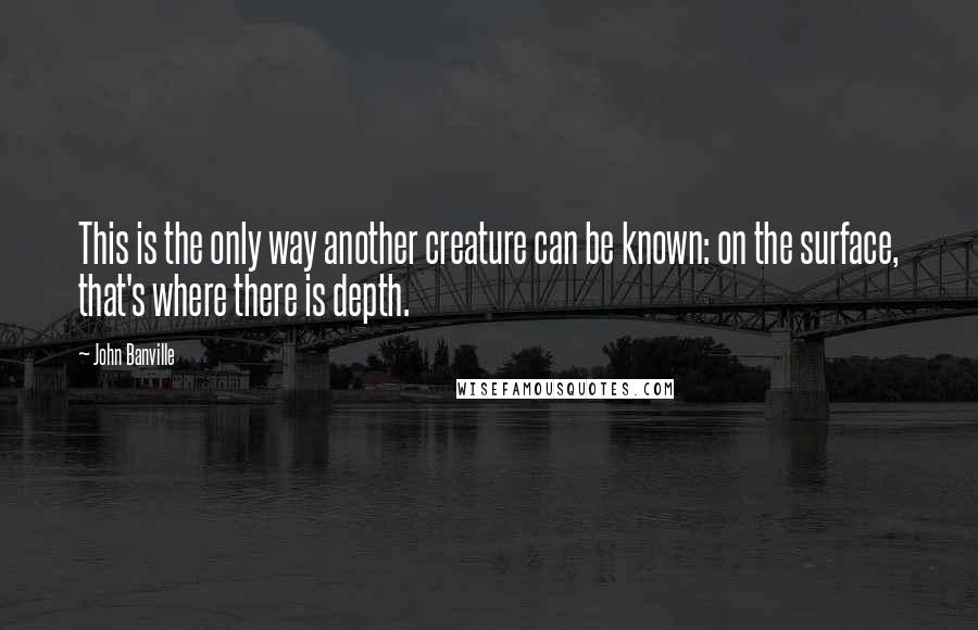 John Banville Quotes: This is the only way another creature can be known: on the surface, that's where there is depth.