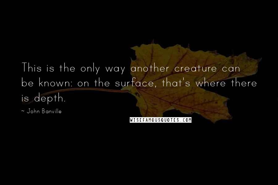 John Banville Quotes: This is the only way another creature can be known: on the surface, that's where there is depth.