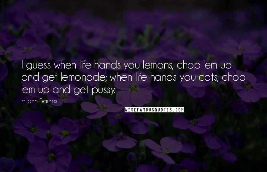 John Barnes Quotes: I guess when life hands you lemons, chop 'em up and get lemonade; when life hands you cats, chop 'em up and get pussy.