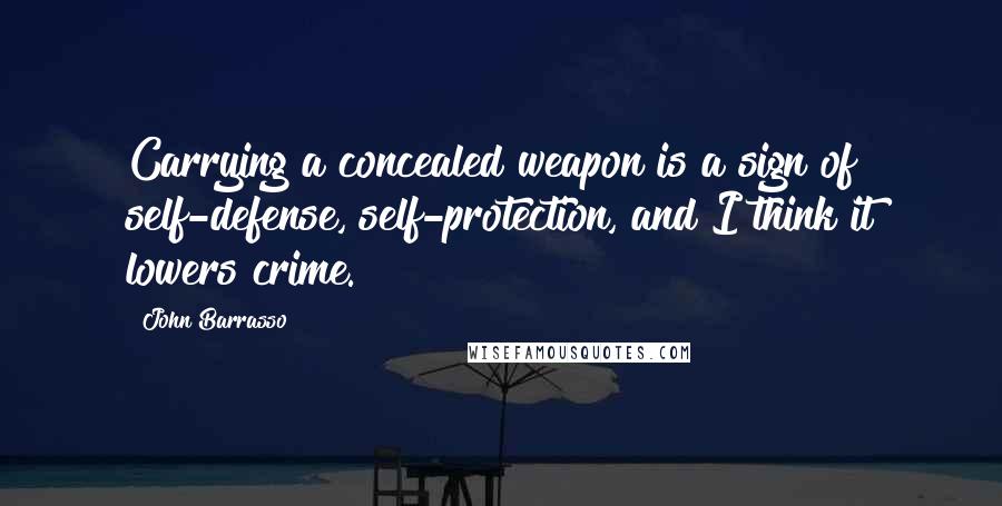 John Barrasso Quotes: Carrying a concealed weapon is a sign of self-defense, self-protection, and I think it lowers crime.