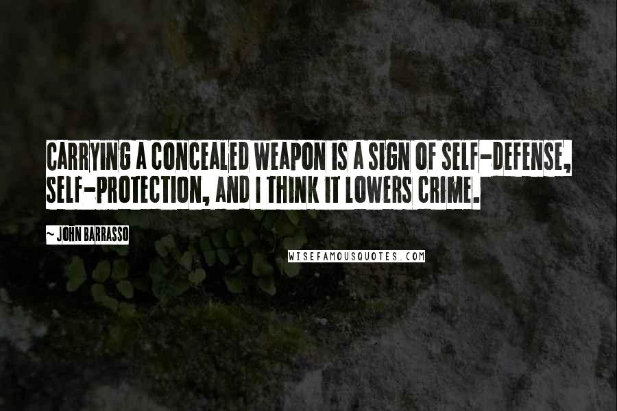 John Barrasso Quotes: Carrying a concealed weapon is a sign of self-defense, self-protection, and I think it lowers crime.