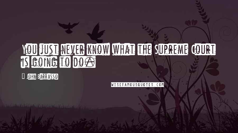 John Barrasso Quotes: You just never know what the Supreme Court is going to do.