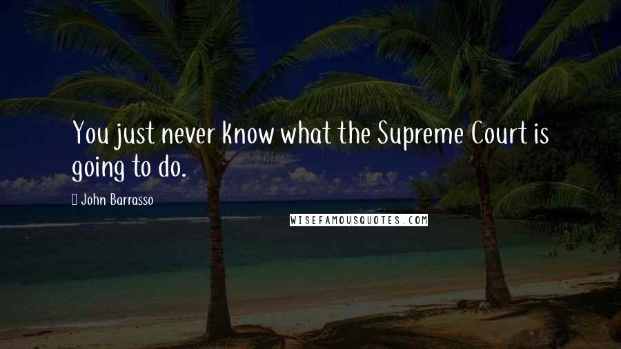John Barrasso Quotes: You just never know what the Supreme Court is going to do.