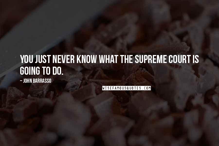 John Barrasso Quotes: You just never know what the Supreme Court is going to do.