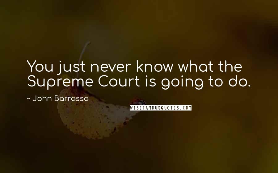 John Barrasso Quotes: You just never know what the Supreme Court is going to do.