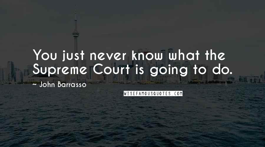 John Barrasso Quotes: You just never know what the Supreme Court is going to do.