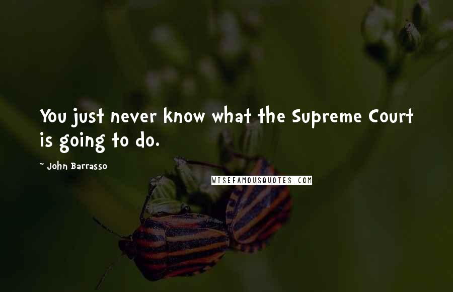 John Barrasso Quotes: You just never know what the Supreme Court is going to do.