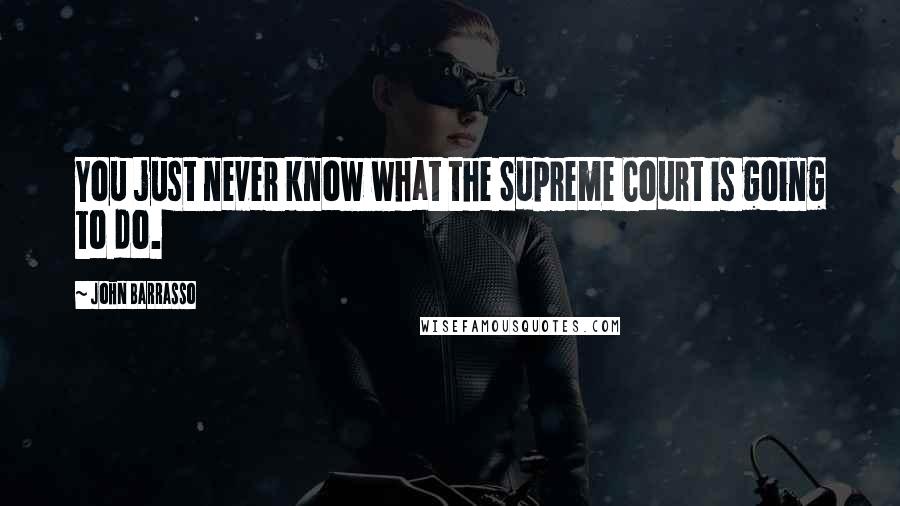 John Barrasso Quotes: You just never know what the Supreme Court is going to do.