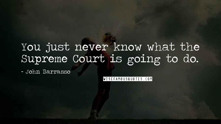 John Barrasso Quotes: You just never know what the Supreme Court is going to do.