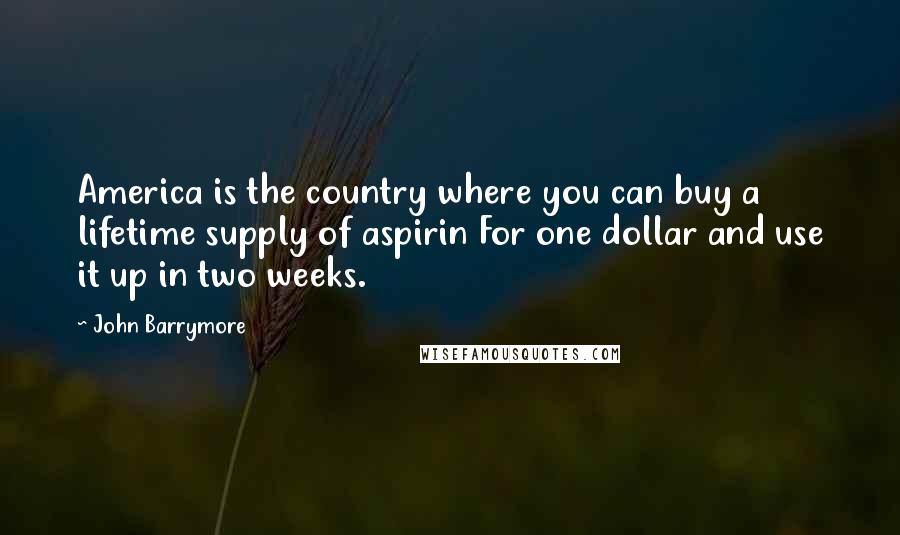 John Barrymore Quotes: America is the country where you can buy a lifetime supply of aspirin For one dollar and use it up in two weeks.