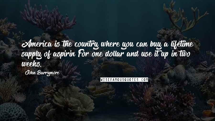 John Barrymore Quotes: America is the country where you can buy a lifetime supply of aspirin For one dollar and use it up in two weeks.