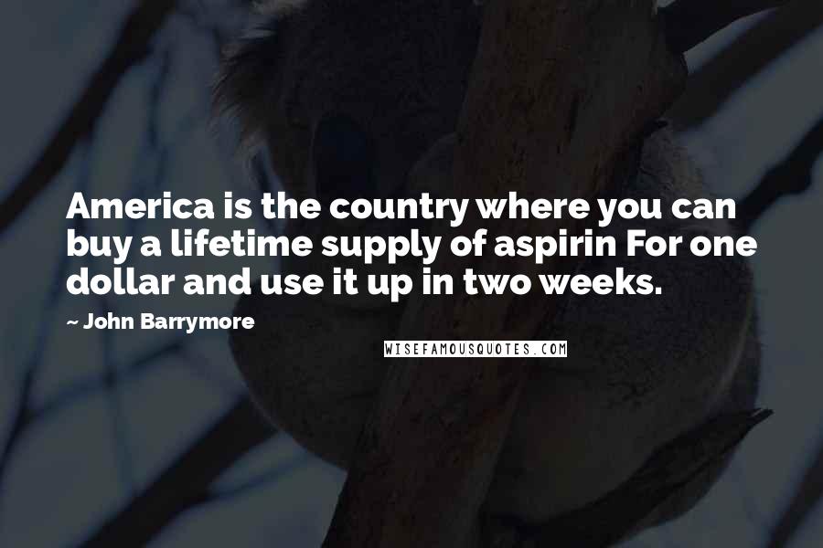 John Barrymore Quotes: America is the country where you can buy a lifetime supply of aspirin For one dollar and use it up in two weeks.