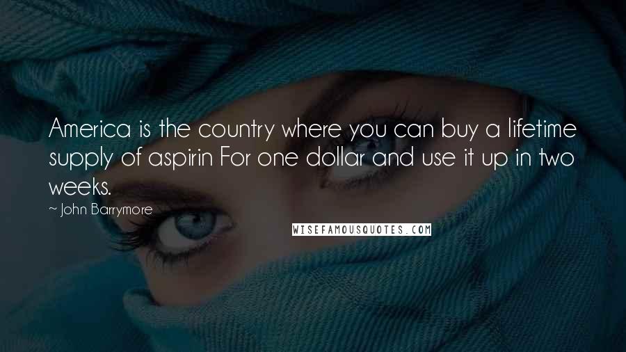 John Barrymore Quotes: America is the country where you can buy a lifetime supply of aspirin For one dollar and use it up in two weeks.