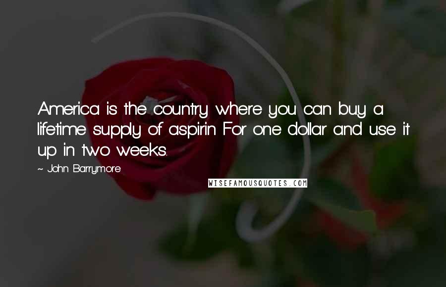 John Barrymore Quotes: America is the country where you can buy a lifetime supply of aspirin For one dollar and use it up in two weeks.