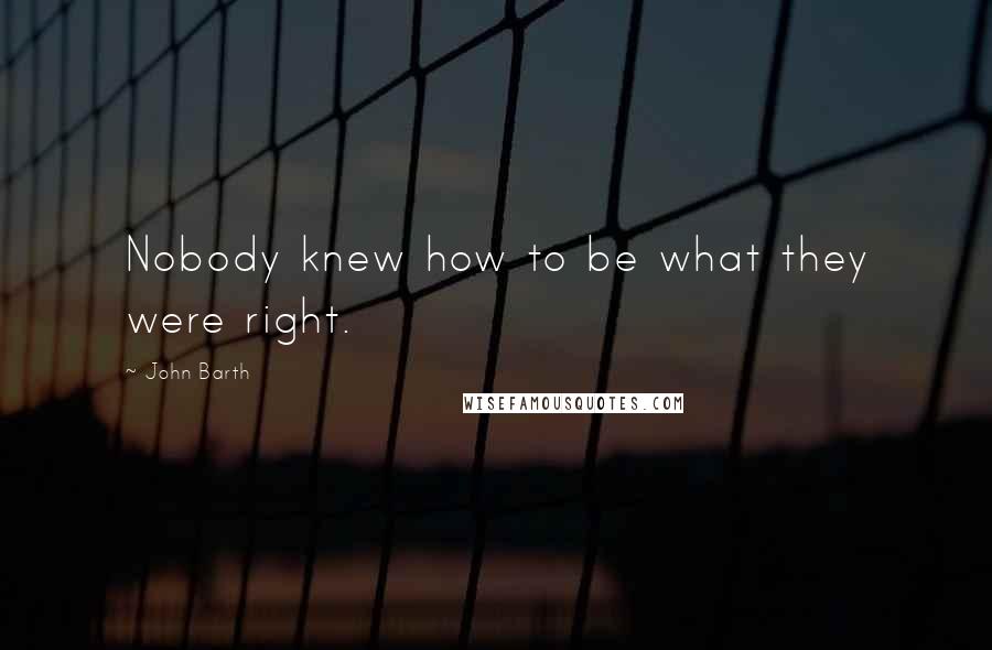 John Barth Quotes: Nobody knew how to be what they were right.
