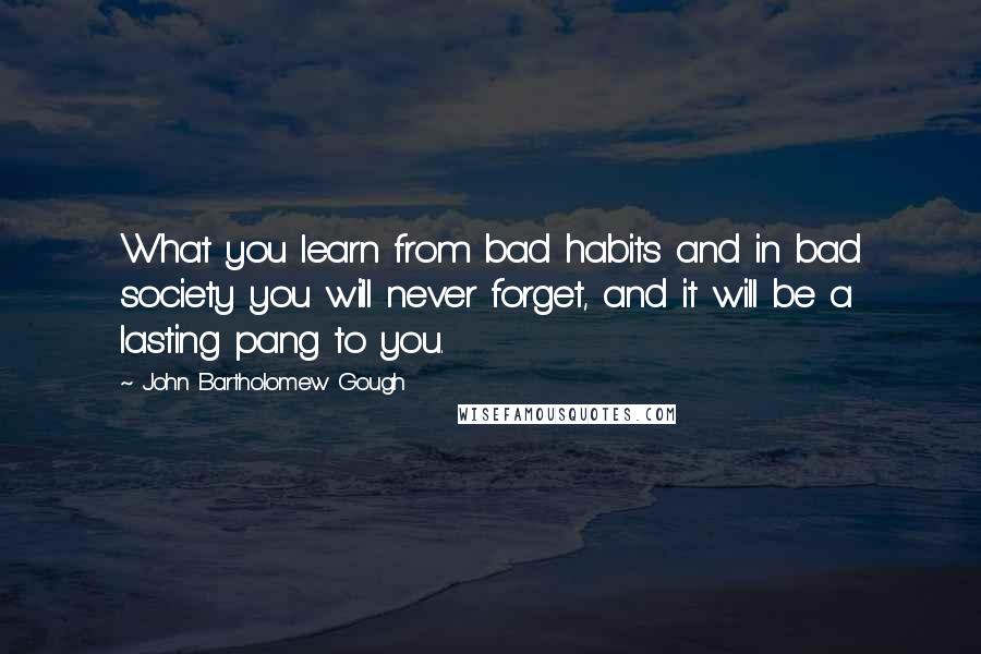John Bartholomew Gough Quotes: What you learn from bad habits and in bad society you will never forget, and it will be a lasting pang to you.