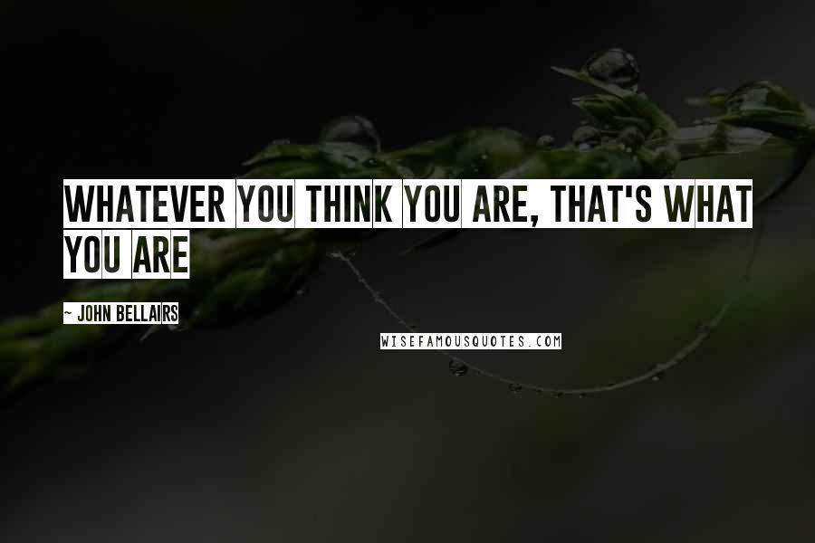 John Bellairs Quotes: Whatever you think you are, that's what you are