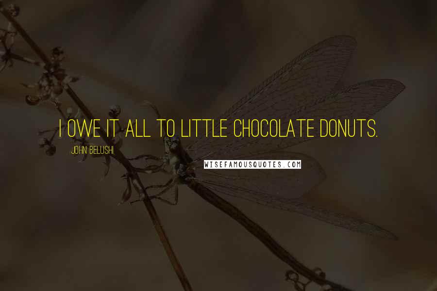 John Belushi Quotes: I owe it all to little chocolate donuts.