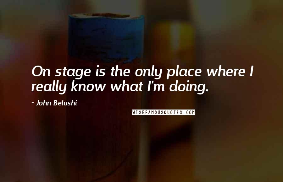 John Belushi Quotes: On stage is the only place where I really know what I'm doing.