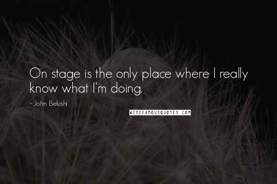 John Belushi Quotes: On stage is the only place where I really know what I'm doing.