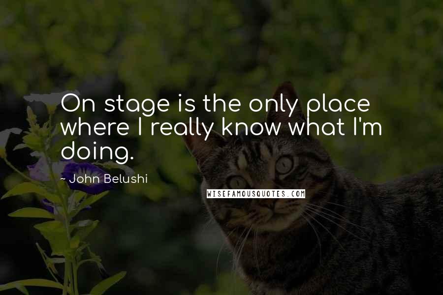 John Belushi Quotes: On stage is the only place where I really know what I'm doing.