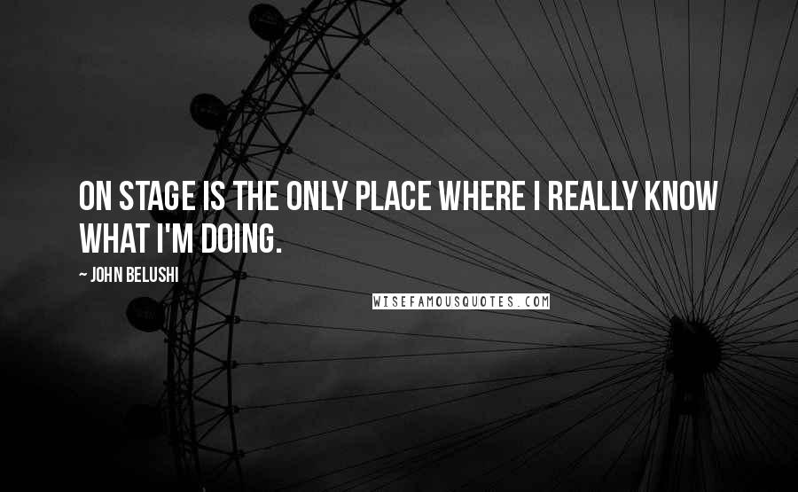 John Belushi Quotes: On stage is the only place where I really know what I'm doing.